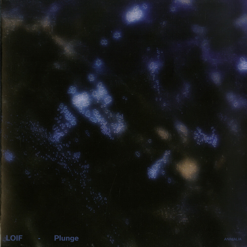 LOIF – Plunge