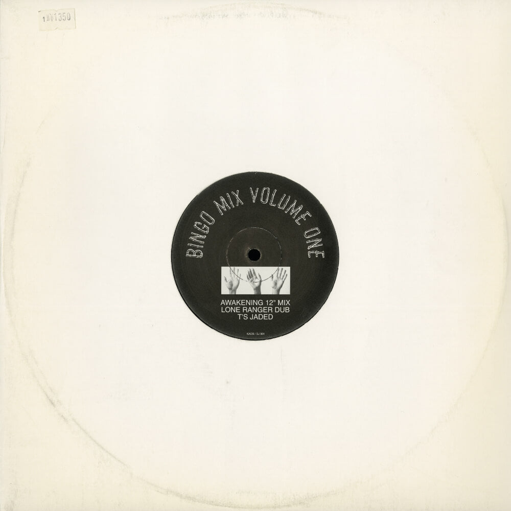 DJ Kaos / Muallem / Tiago – Bingo Mix Volume One