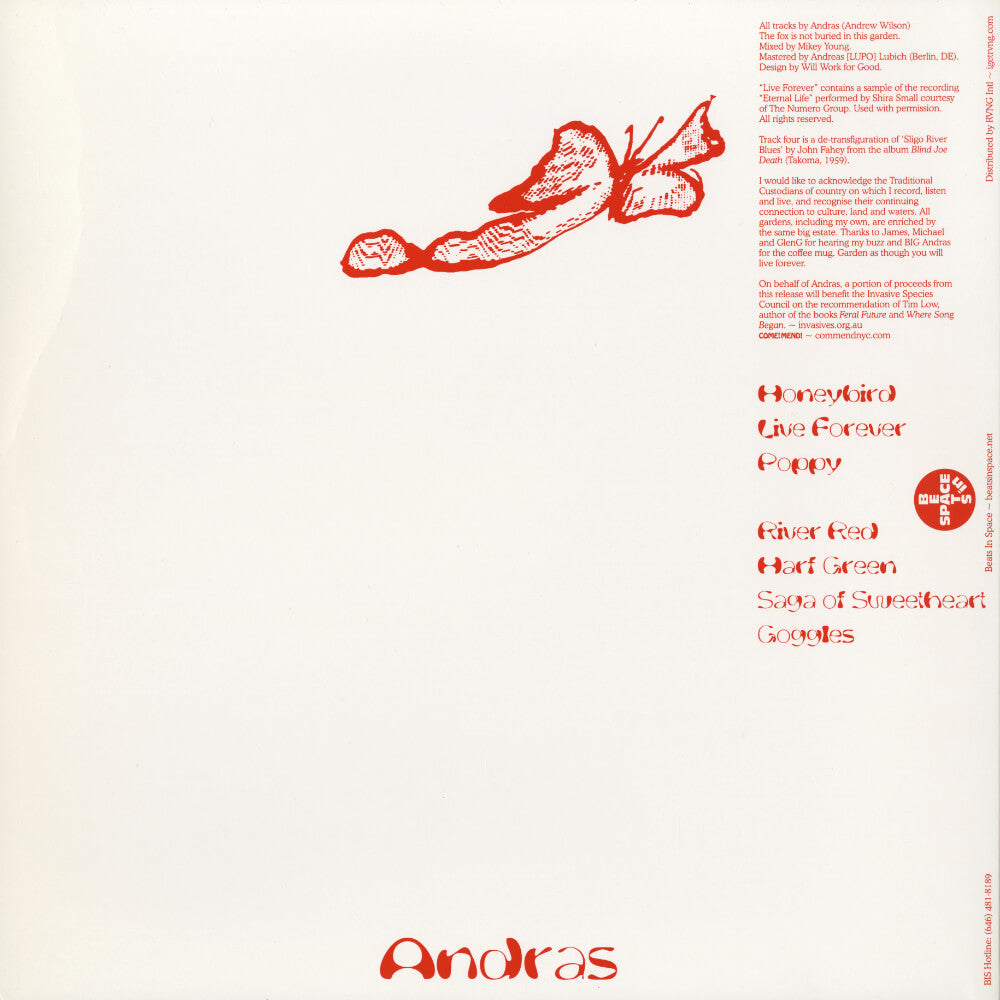 Andras – Joyful