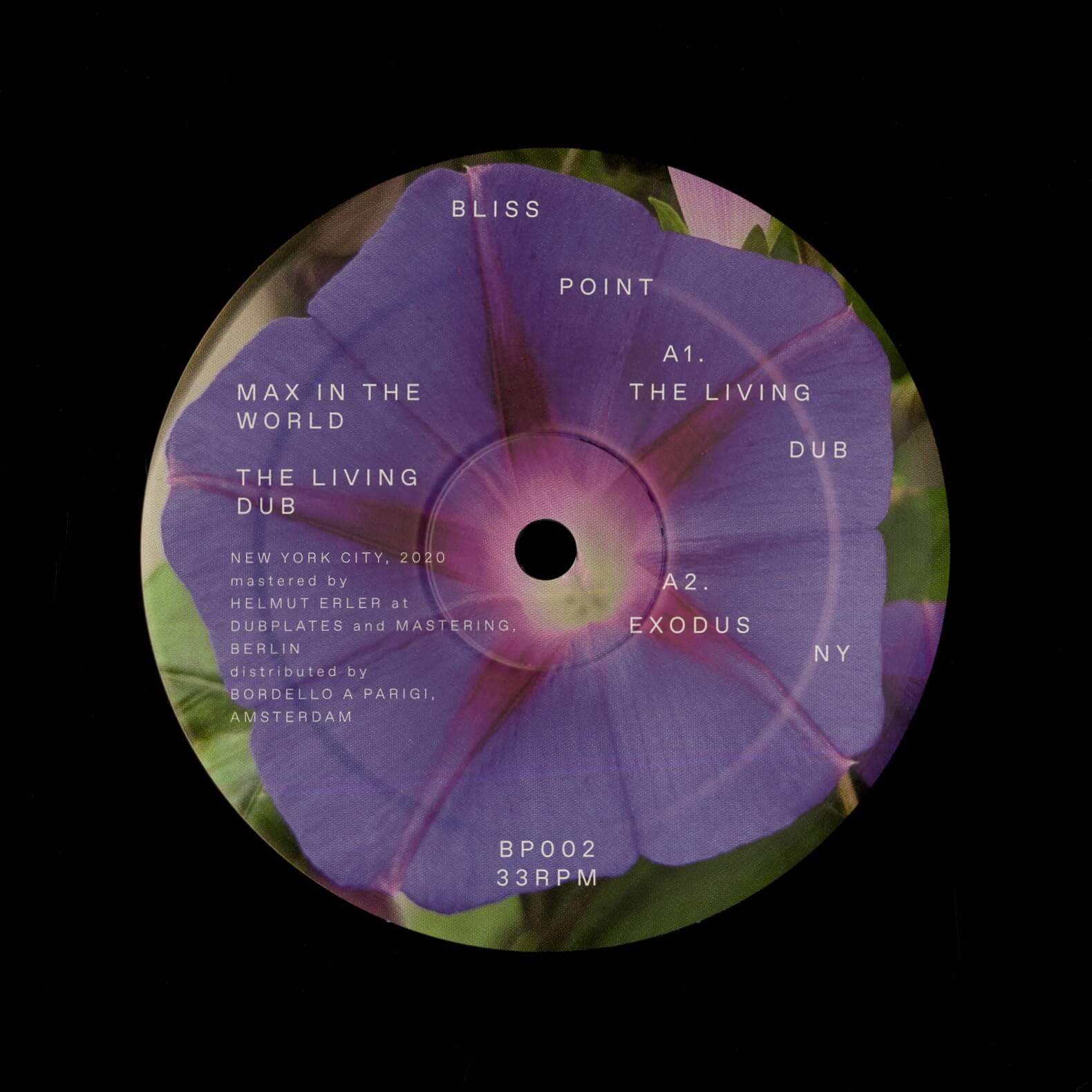 Max In The World – The Living Dub