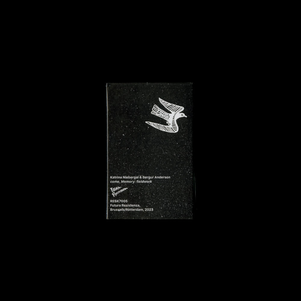 Katrina Niebergal & Bergur Anderson – Come, Memory: Fieldwork