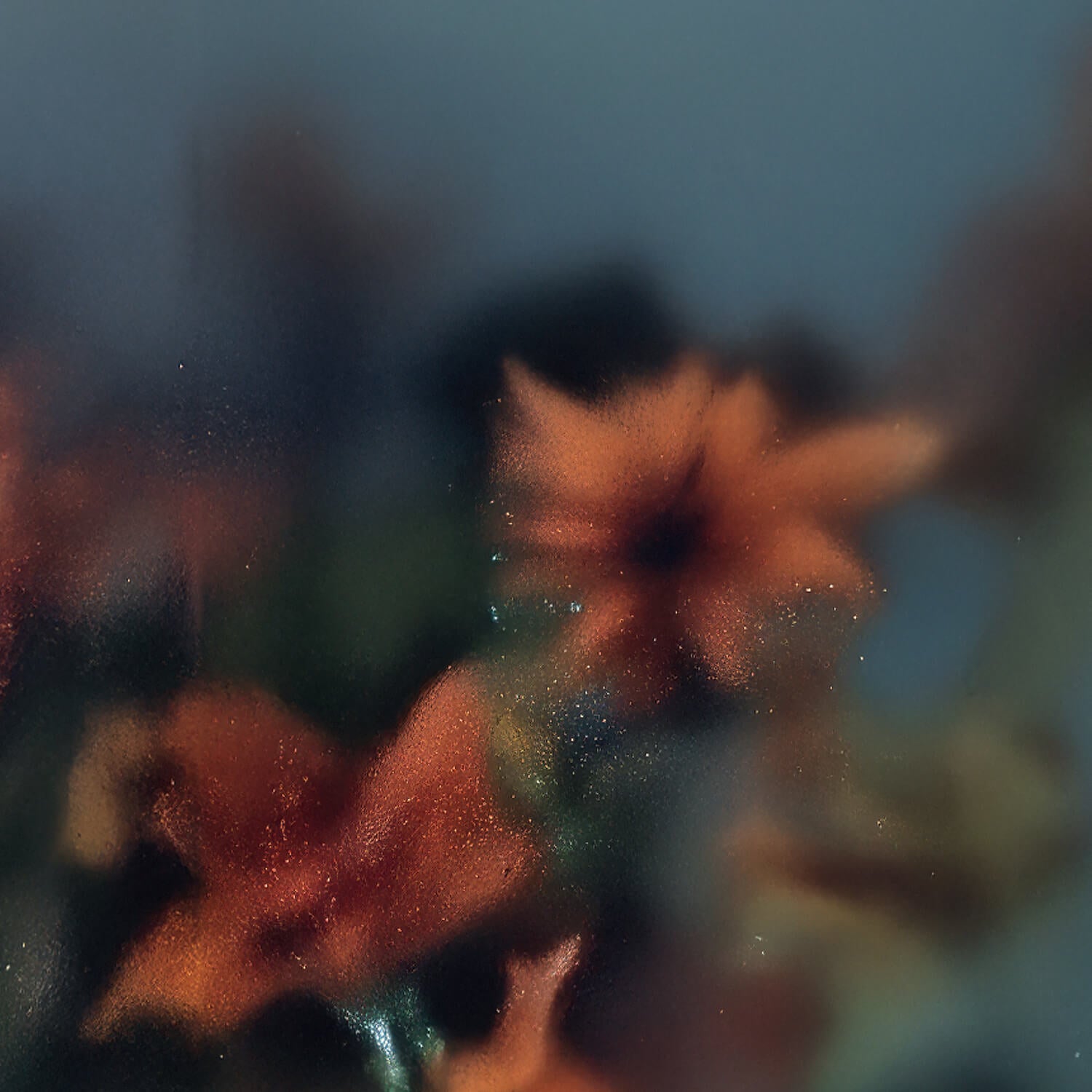 Erik M. – Soft Wish