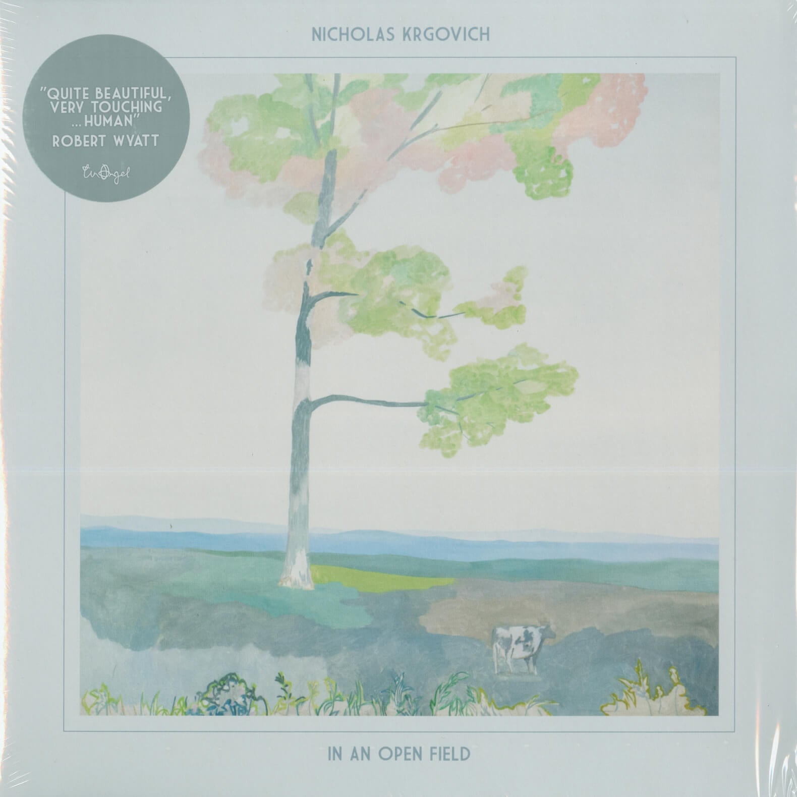 Nicholas Krgovich – In An Open Field