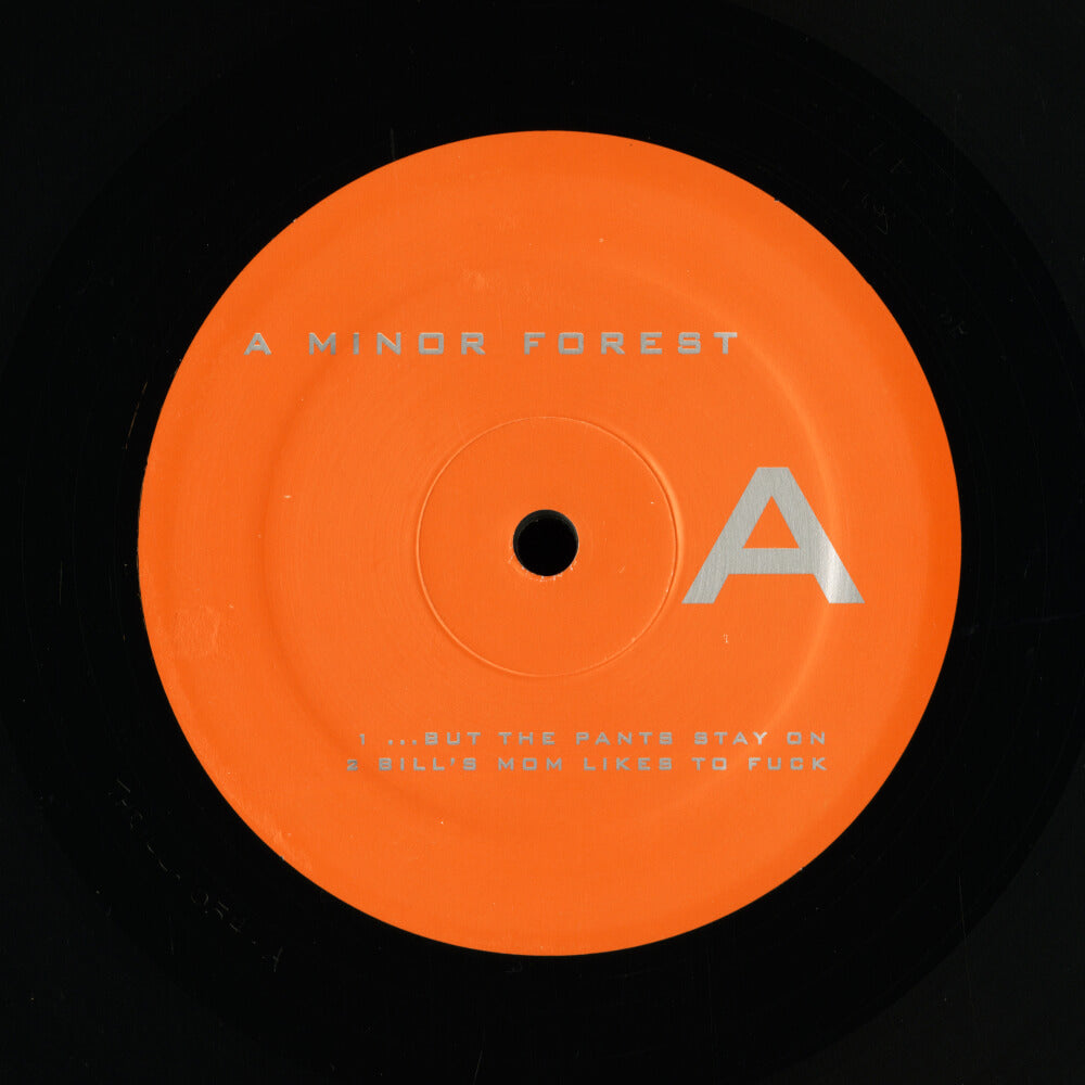 A Minor Forest – Flemish Altruism (Constituent Parts 1993-1996)