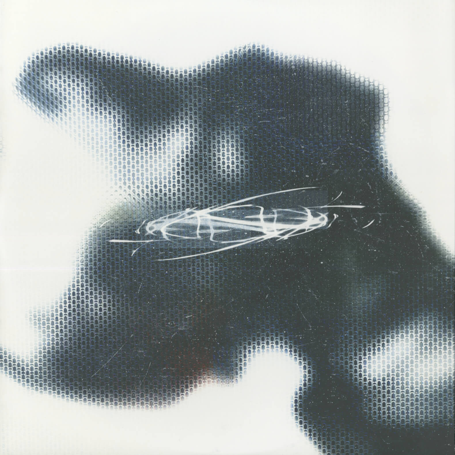 Conna Haraway – Spatial Fix