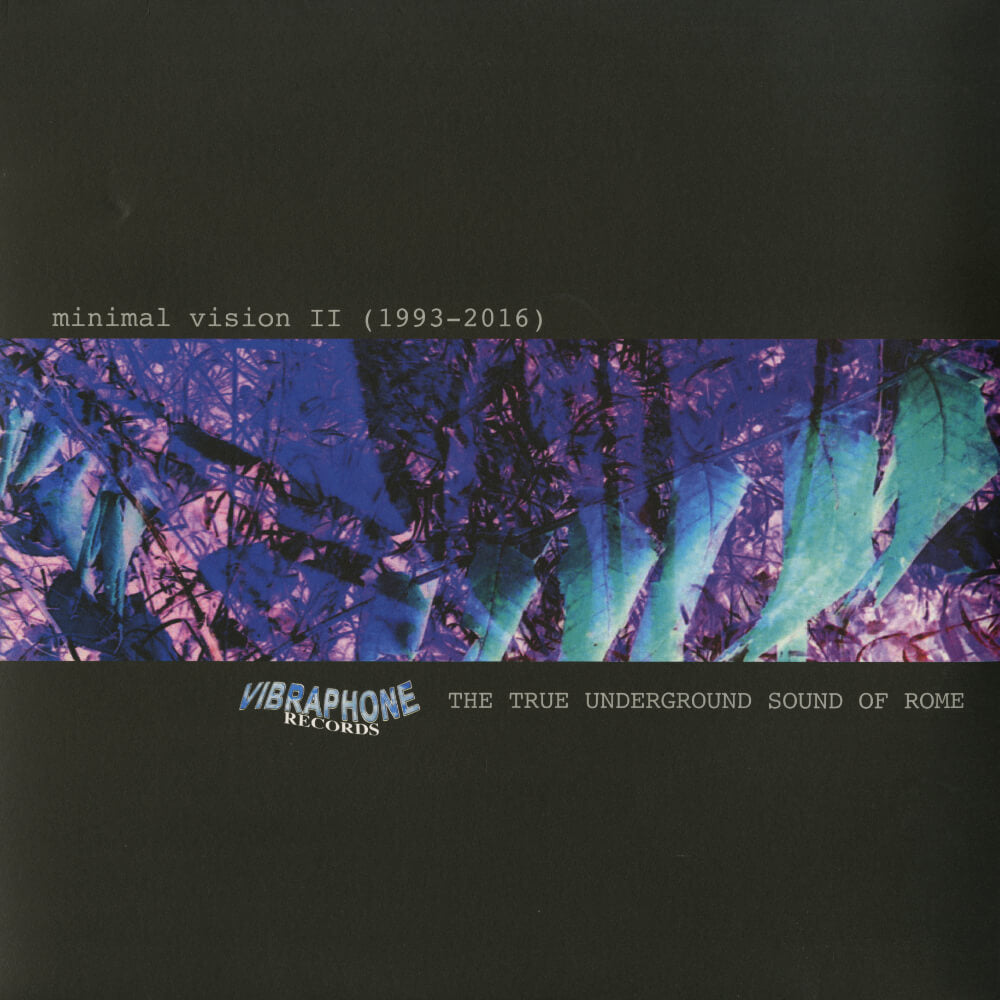 Minimal Vision – Minimal Vision II (1993-2016)