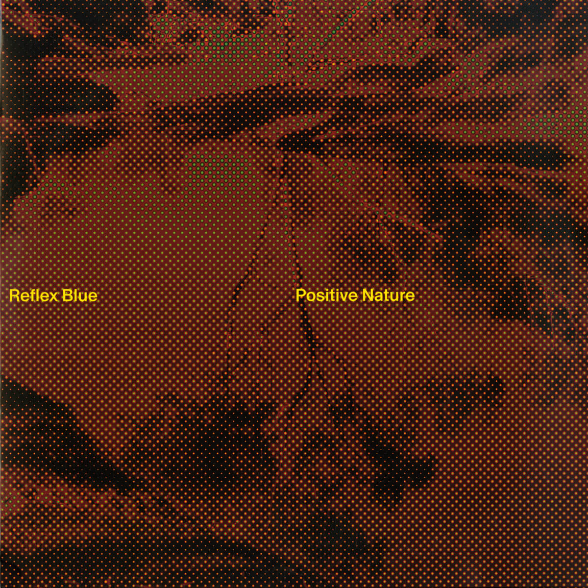 Reflex Blue – Positive Nature