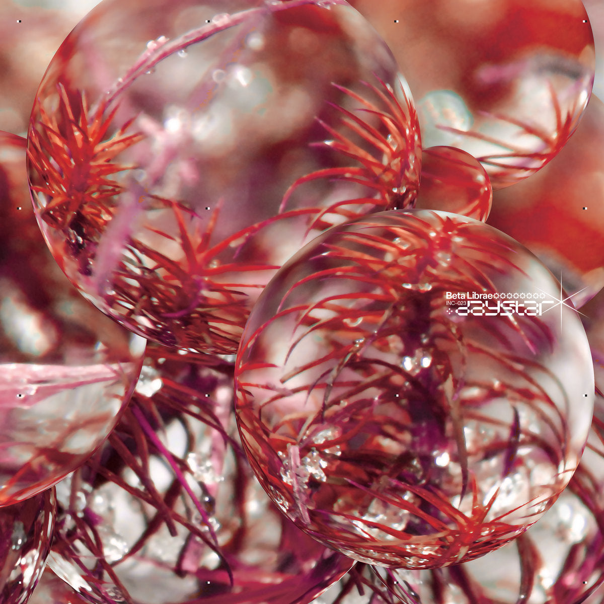 Beta Librae – Daystar