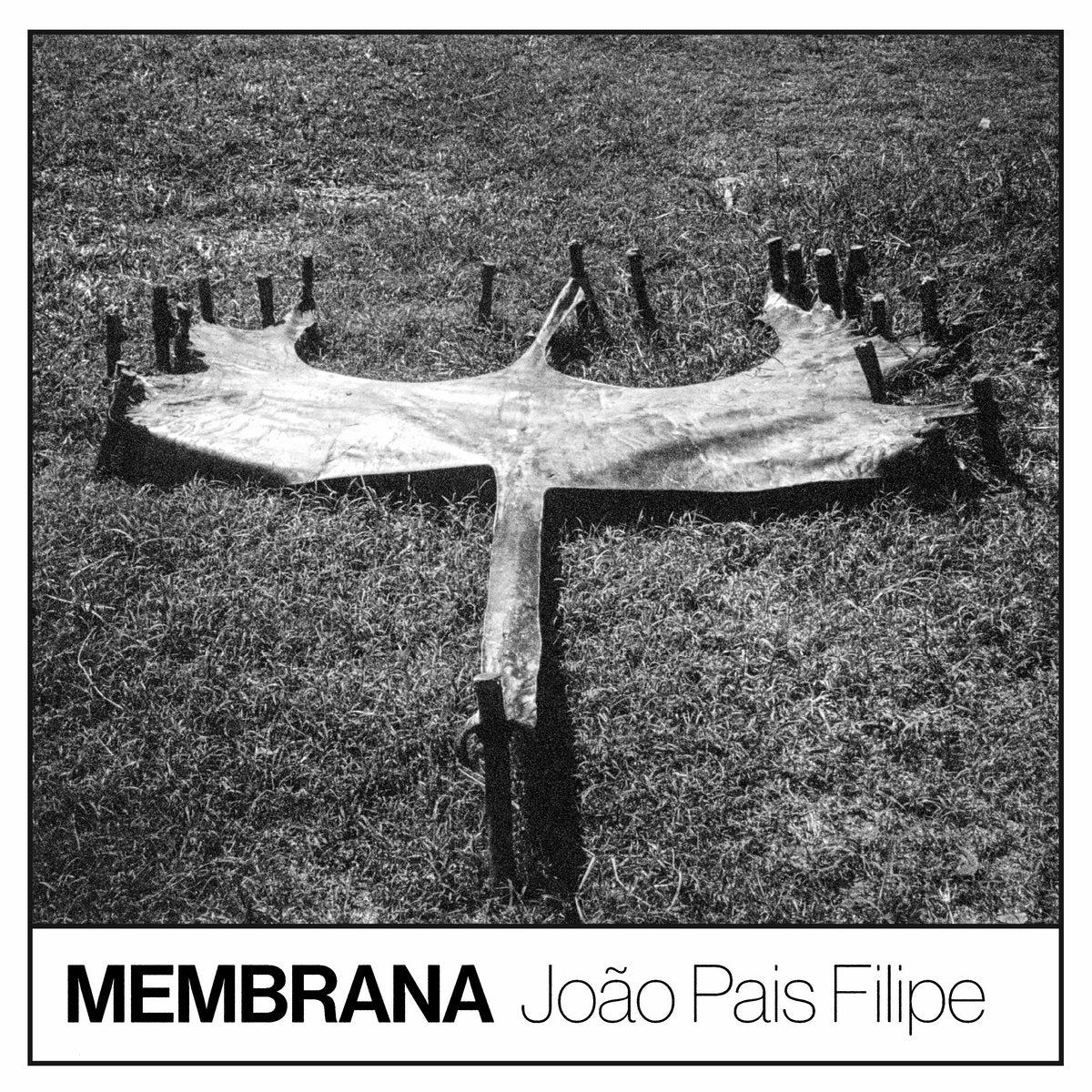 João Pais Filipe – Membrana