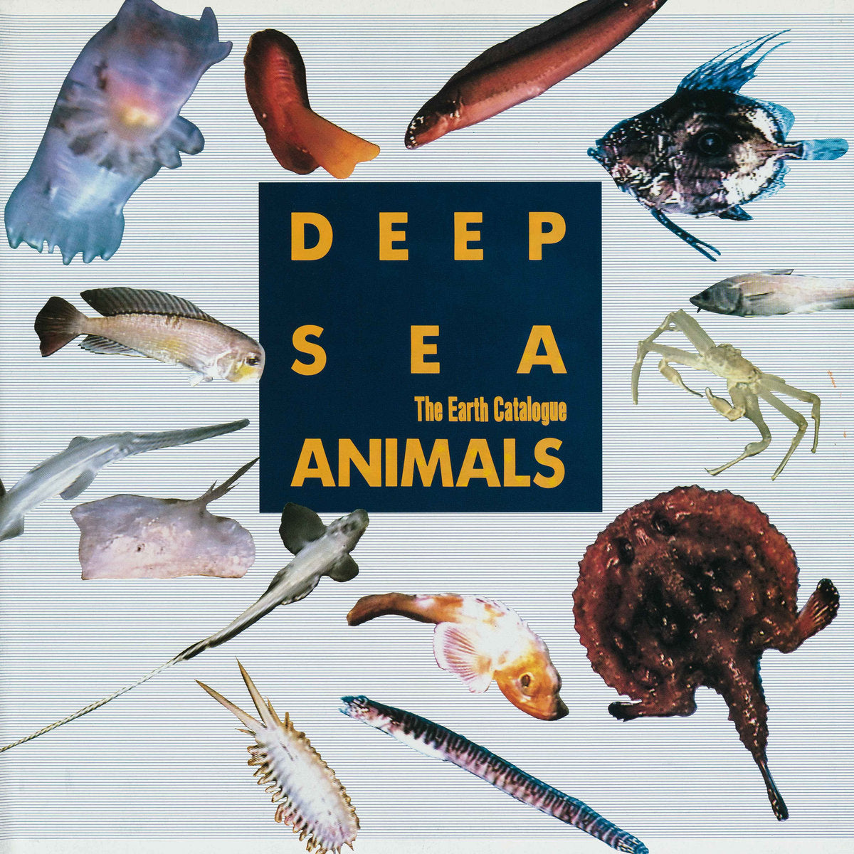 Various Artists – Deep Sea Animals Original Soundtrack