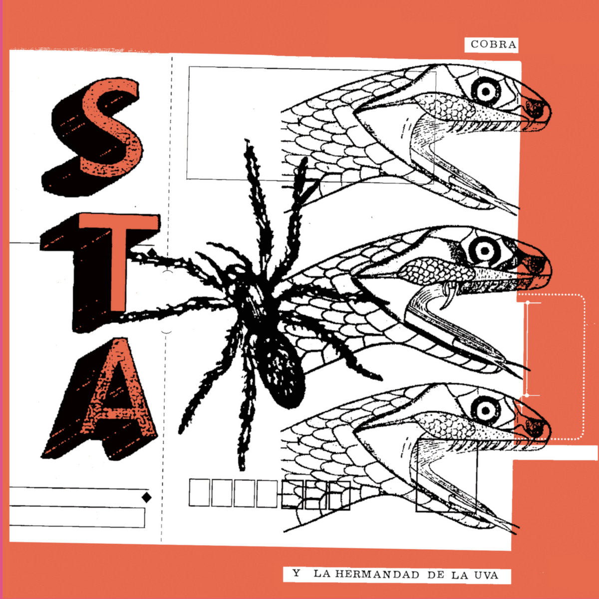 STA – Cobra Y La Hermandad De La Uva