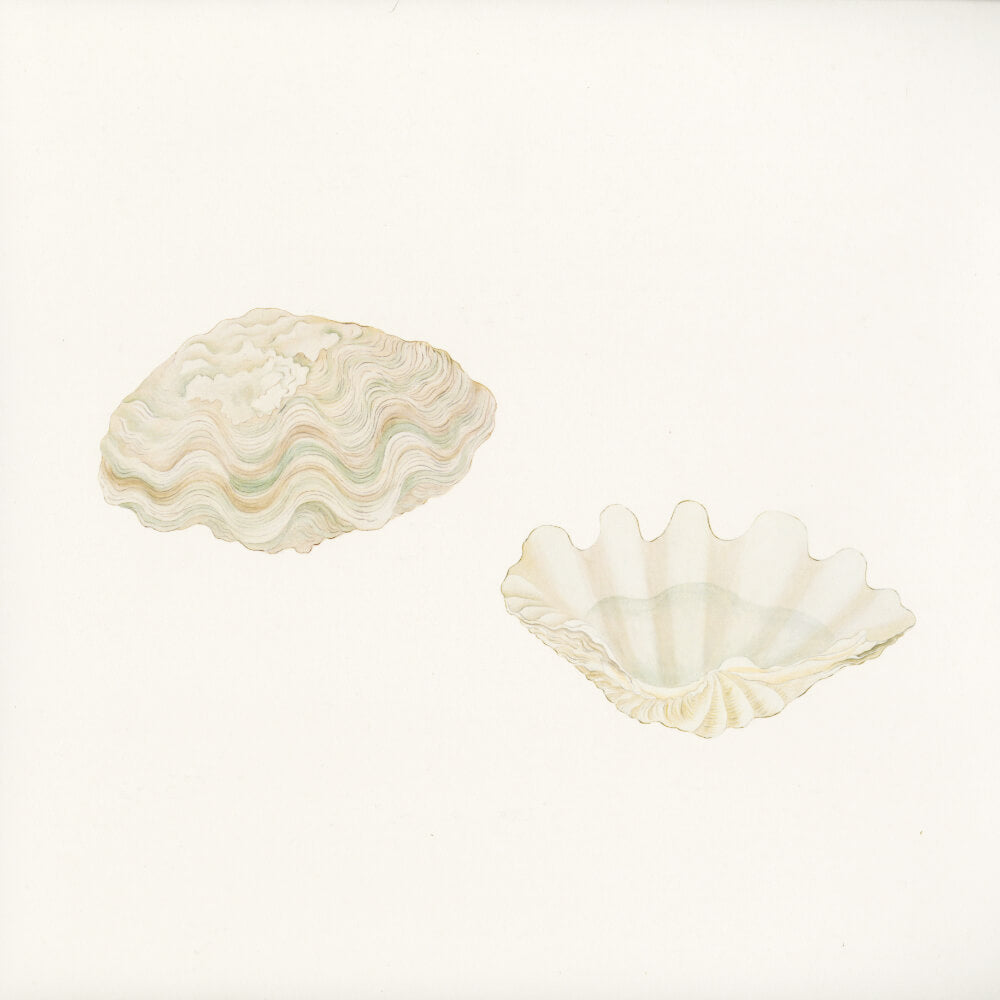 Tomoko Sauvage – Fischgeist