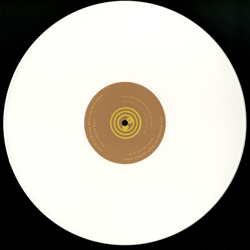 Part Wild Horses Mane On Both Sides – Aulos' Second Reed