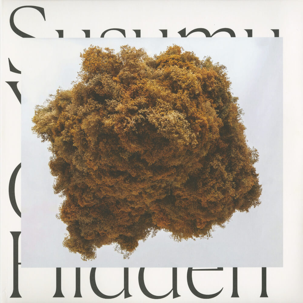 Susumu Yokota – Cloud Hidden