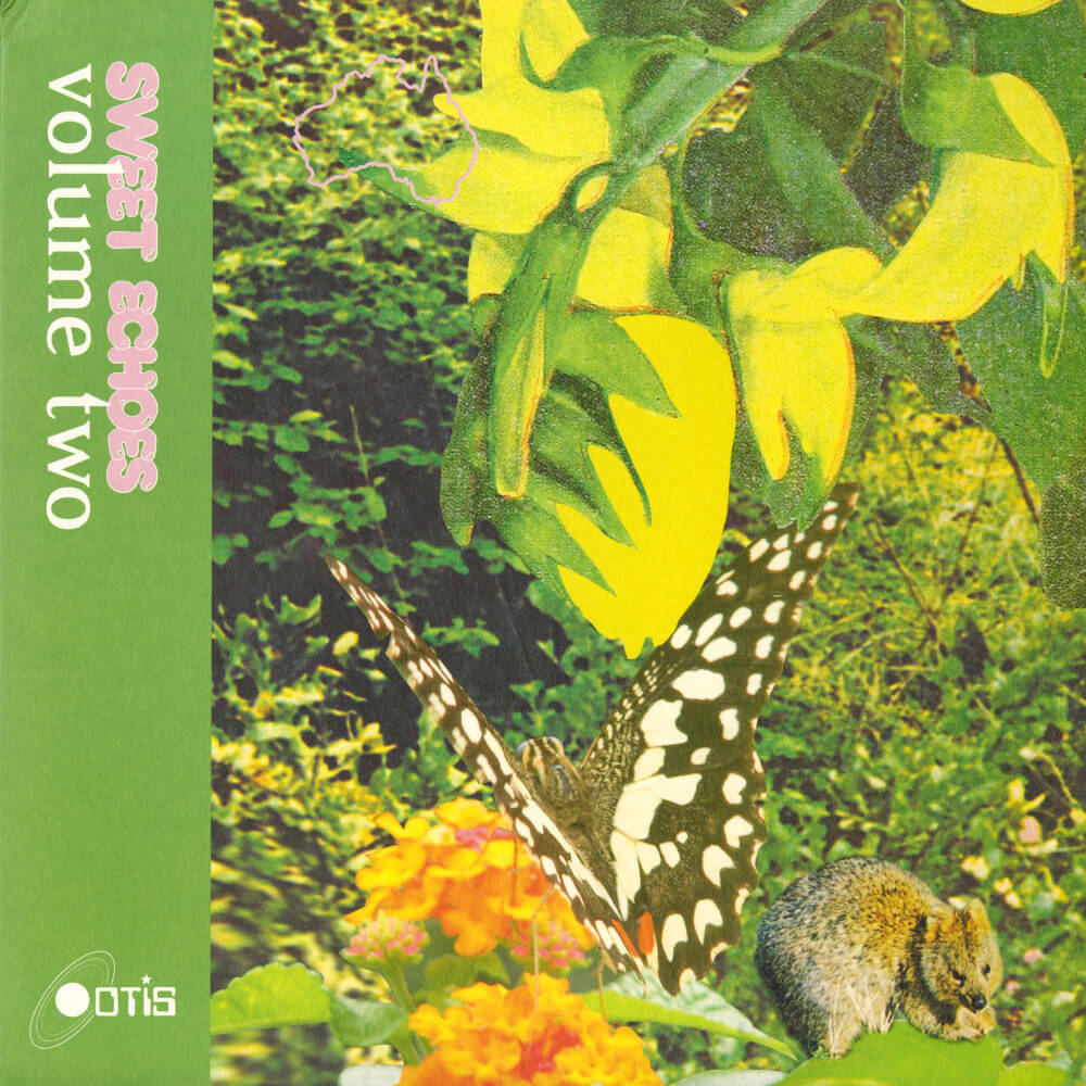 Various – Sweet Echoes Vol 2