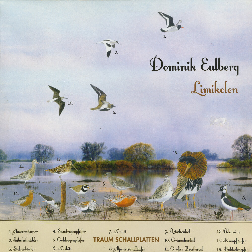 Dominik Eulberg – Limikolen
