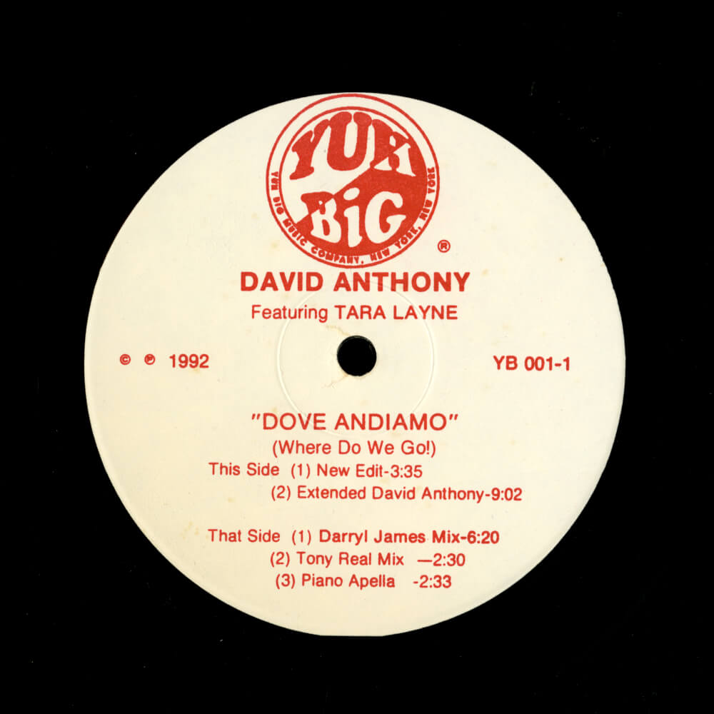 David Anthony Featuring Tara Layne – Dove Andiamo (Where Do We Go!)