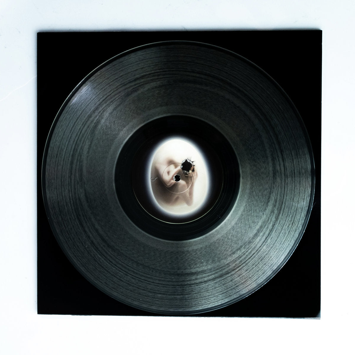 Various – Natural Sciences x Embryo : Flesh Renewed