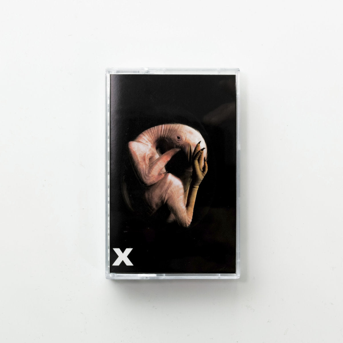 Various – Natural Sciences x Embryo : Flesh Renewed