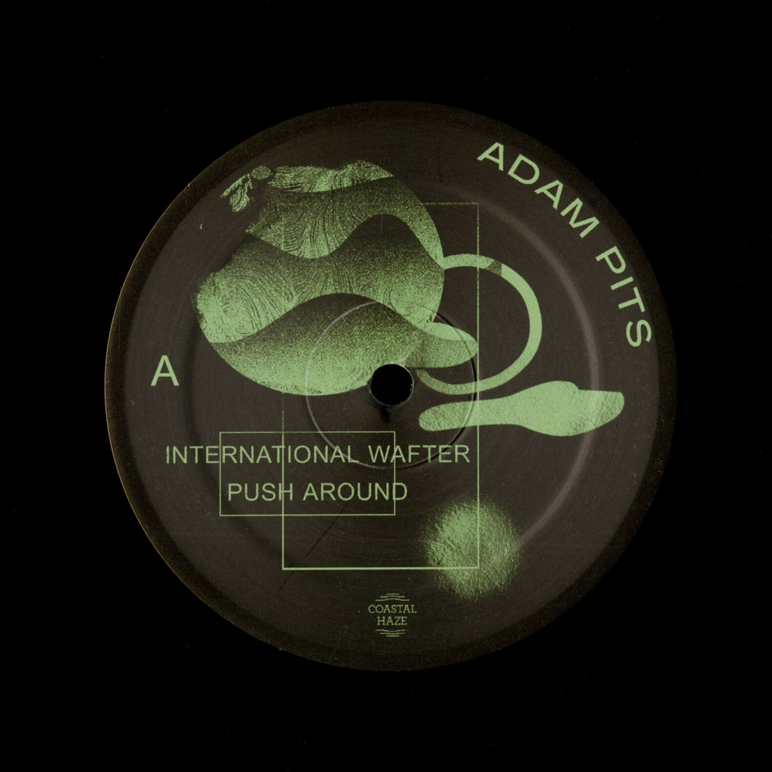 Adam Pits – International Wafter