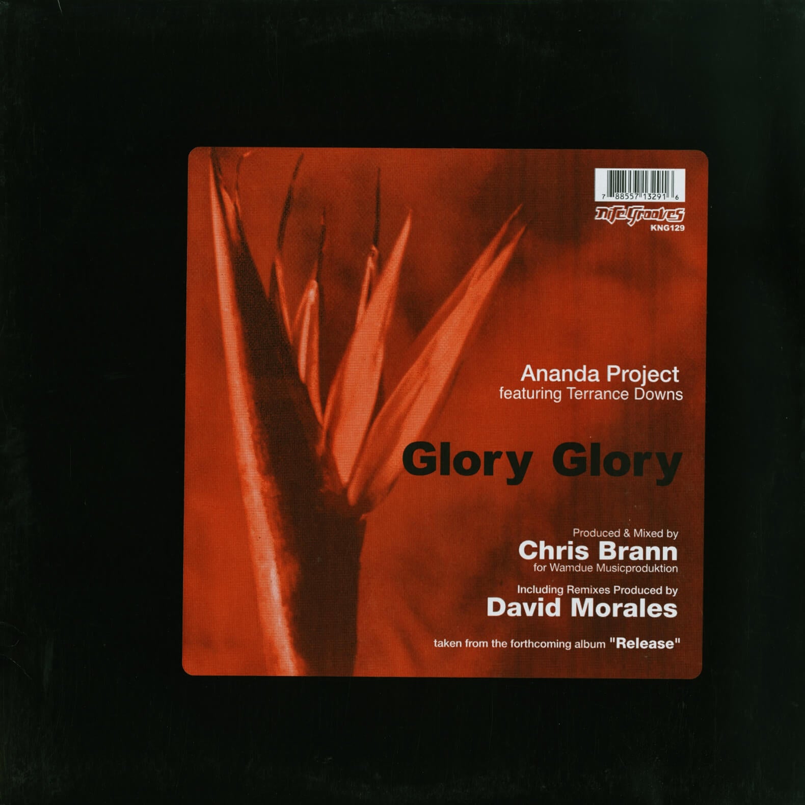 Ananda Project Feat. Terrance Downs – Glory Glory