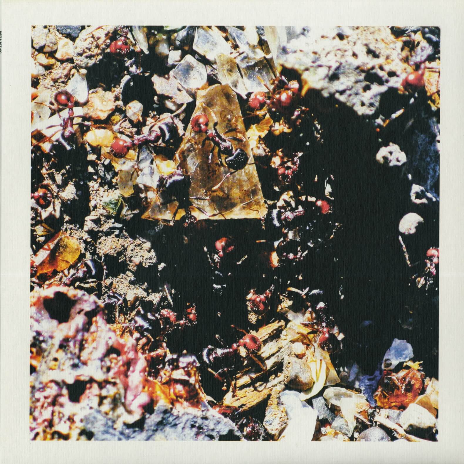 Mesa Ritual – Mesa Ritual