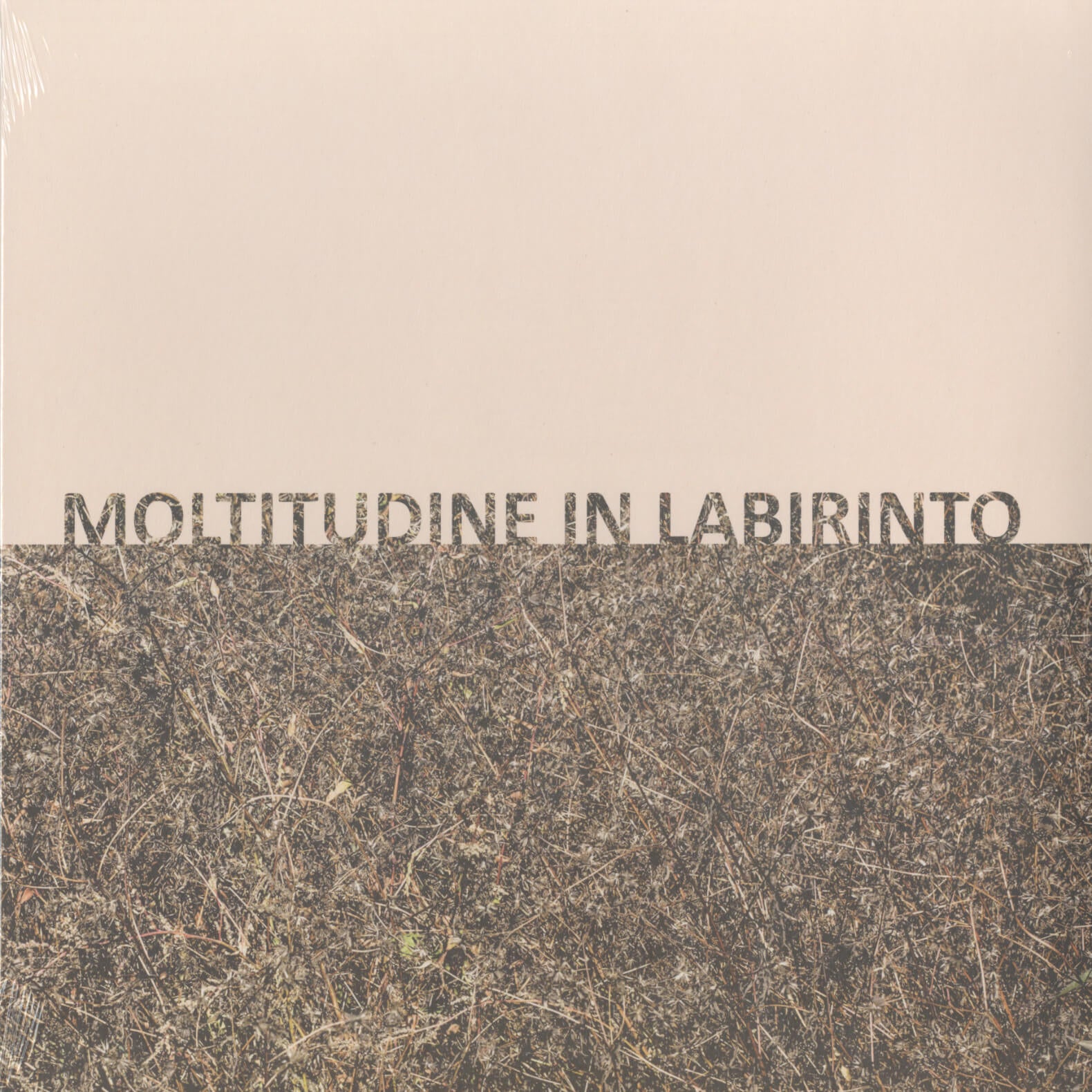 Gigi Masin & Giuseppe Caprioli – Moltitudine In Labirinto