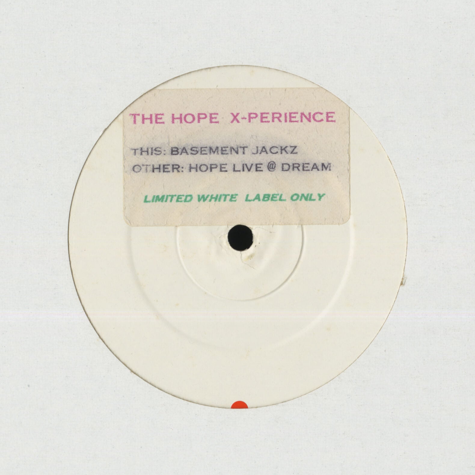 The Hope X-perience – Tree Frog