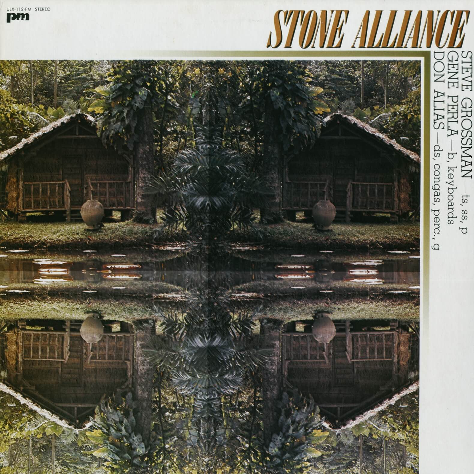 Marcio Montarroyos, Stone Alliance – Marcio Montarroyos / Stone Alliance