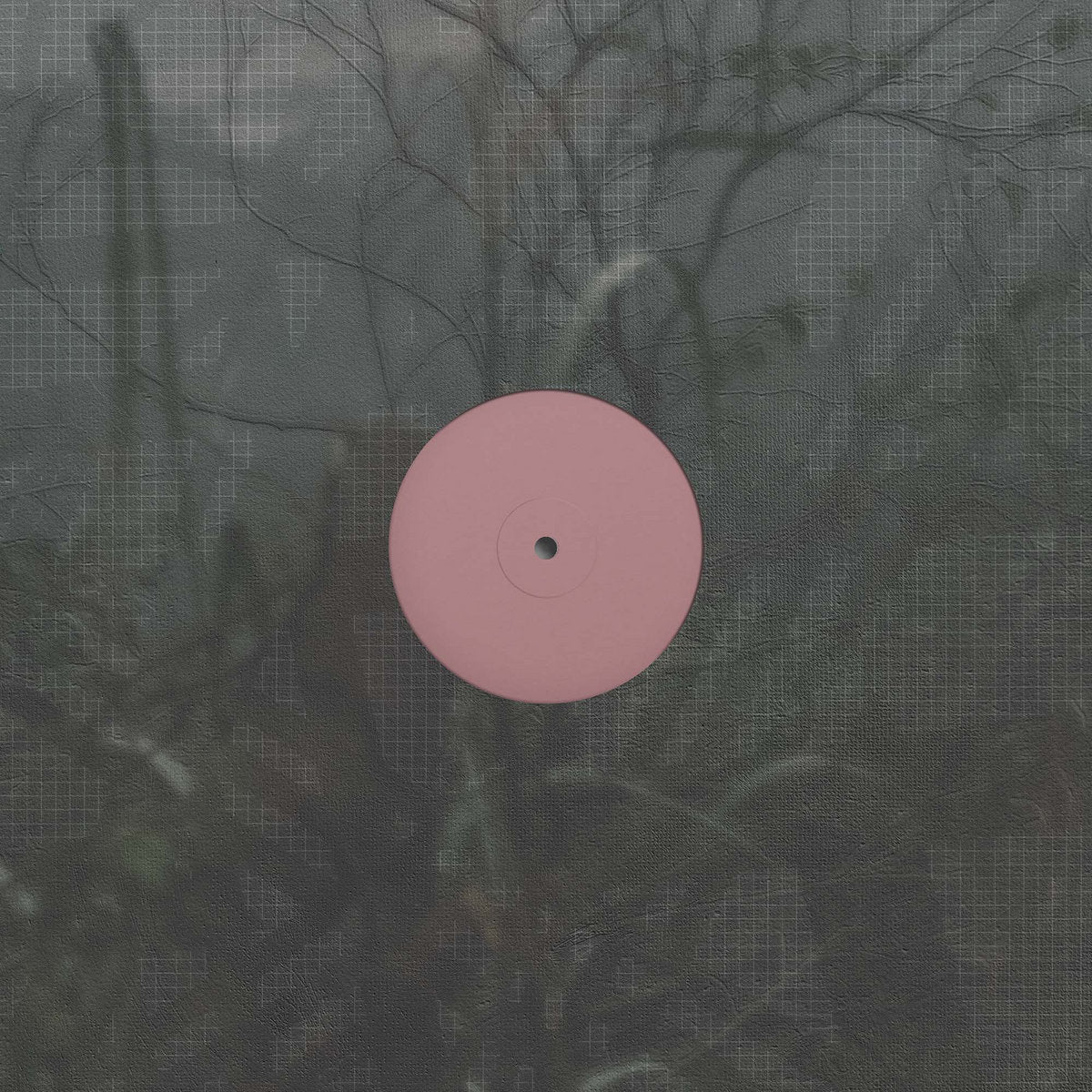 Alien D – For the Early Hours of a World in Bloom