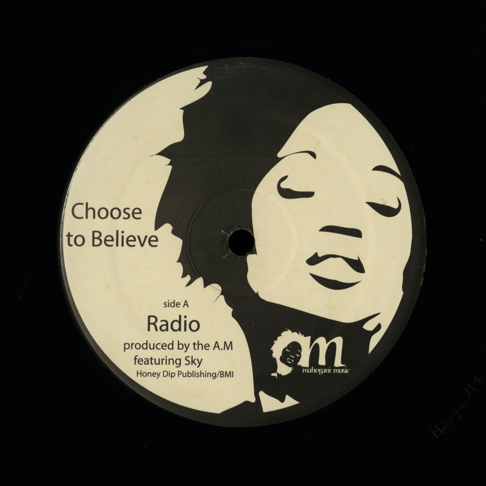 The A.M – Choose To Believe