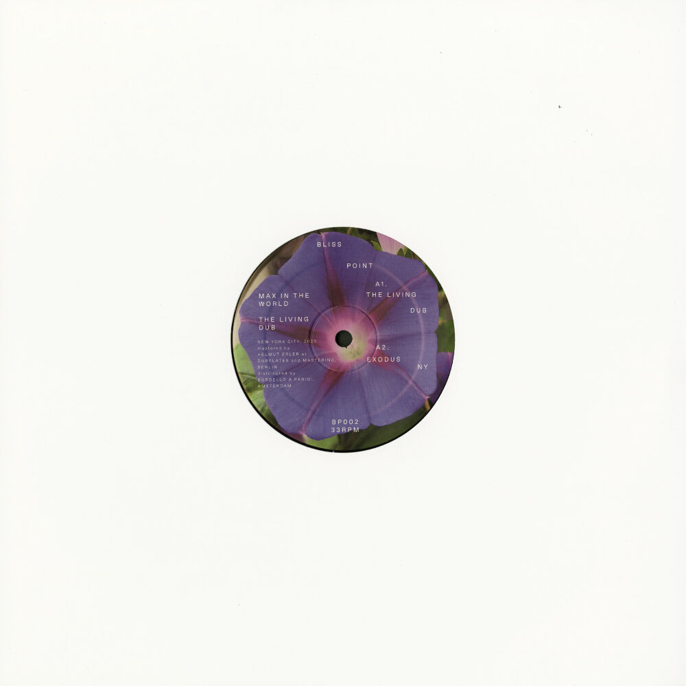 Max In The World – The Living Dub