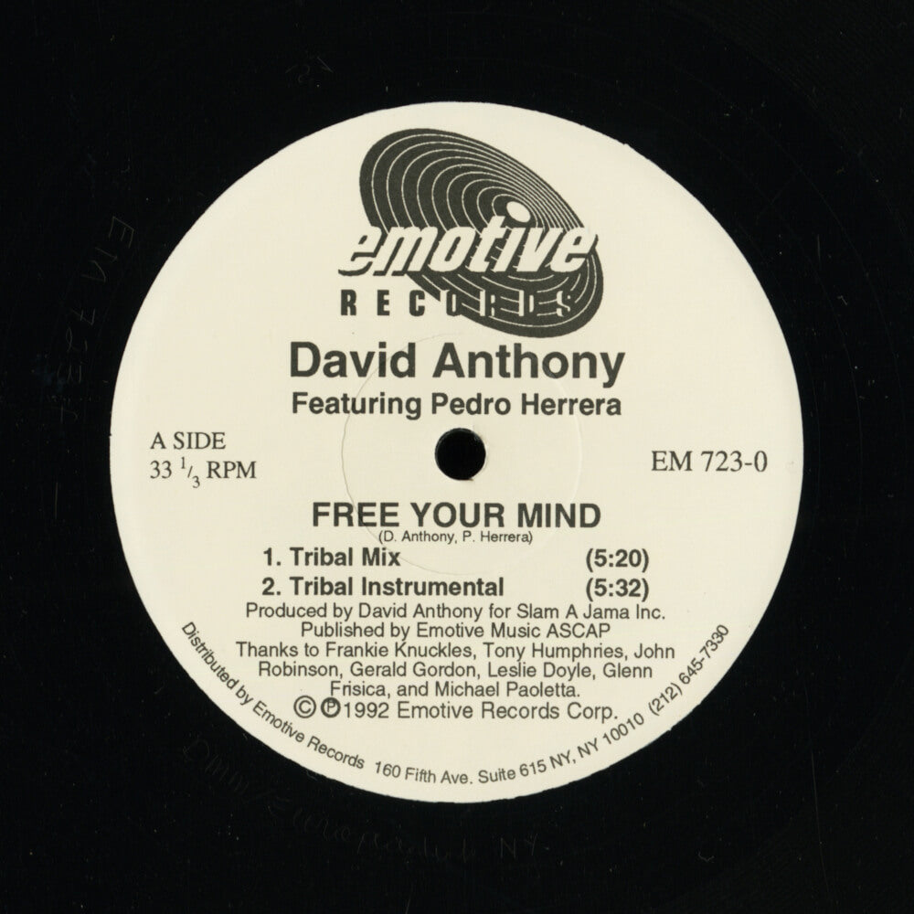 David Anthony Featuring Pedro Herrera – Free Your Mind