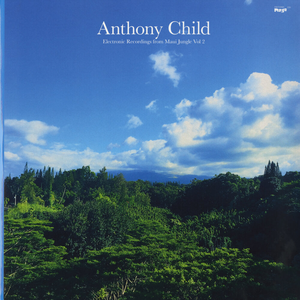 Anthony Child – Electronic Recordings From Maui Jungle, Vol.2