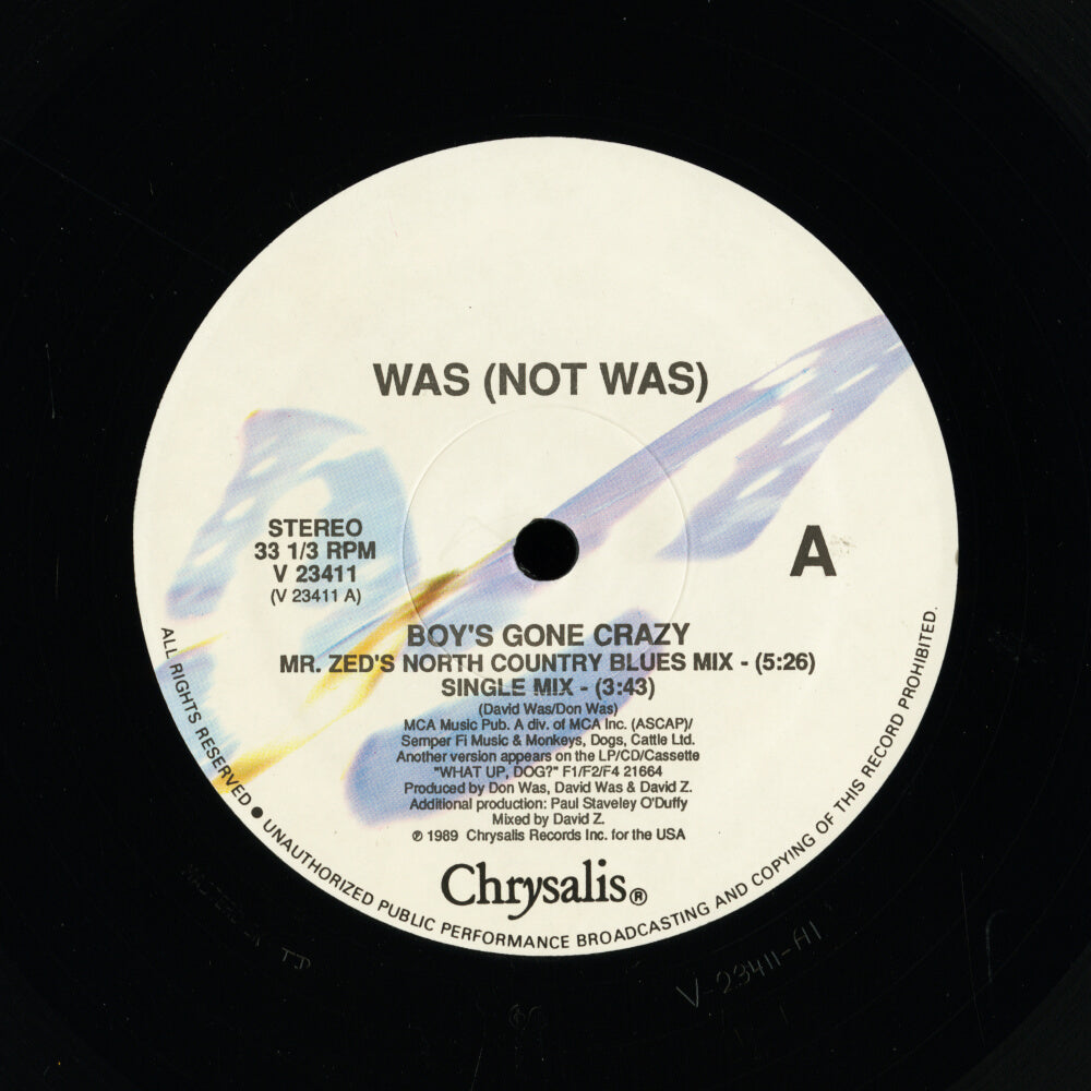 Was (Not Was) – Boy's Gone Crazy